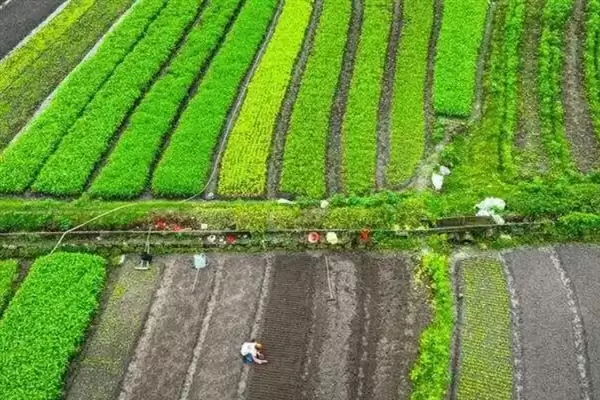 农业合作化的重大意义:推动社会主义建设发展的力量插图2 农业合作化的重大意义:推动社会主义建设发展的力量插图2