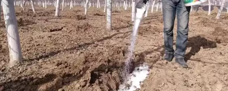 生物钾肥有什么作用?了解生物钾肥作用要知晓哪些关键的肥效原理?-会东网