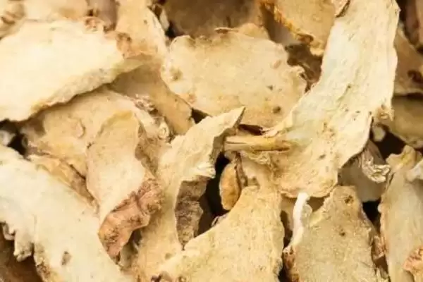 了解知母种植注意事项的方法和重点？了解知母种植注意事项要做好哪些细节？插图3