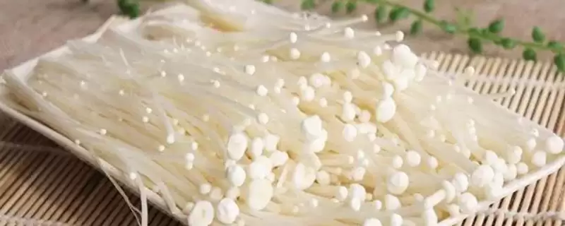 金针菇和海鲜菇的区别 ,金针菇与海鲜菇有何不同呢-会东网