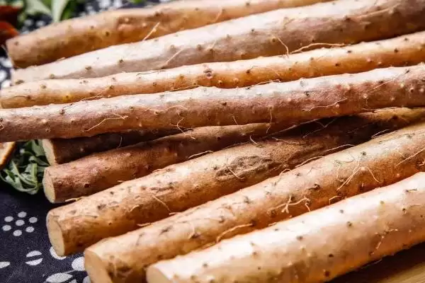 山药的产地?了解山药产地要知晓哪些主要的地域分布情况?插图1 山药的产地?了解山药产地要知晓哪些主要的地域分布情况?插图1