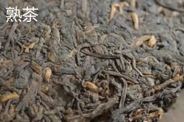 普洱茶产地揭秘：主产于云南省的独特韵味插图5
