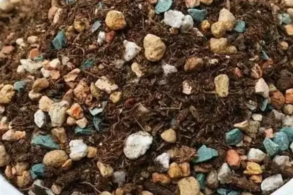 叶插朱紫玉的方法和重点?叶插朱紫玉要做好哪些细节?插图6 叶插朱紫玉的方法和重点?叶插朱紫玉要做好哪些细节?插图6