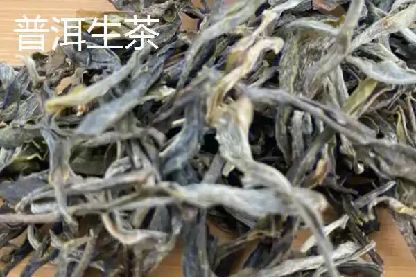 普洱茶产地揭秘：主产于云南省的独特韵味插图4