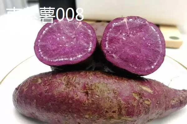 紫薯品种的种类和要点？了解紫薯品种需关注哪些关键信息？插图10