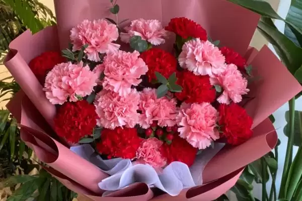 女王节花卉选择指南：康乃馨、百合花等传递美好祝福插图1