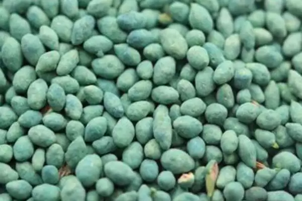 如何辨别真假包衣剂种子?鉴别真假包衣剂种子要掌握哪些方法?插图1 如何辨别真假包衣剂种子?鉴别真假包衣剂种子要掌握哪些方法?插图1