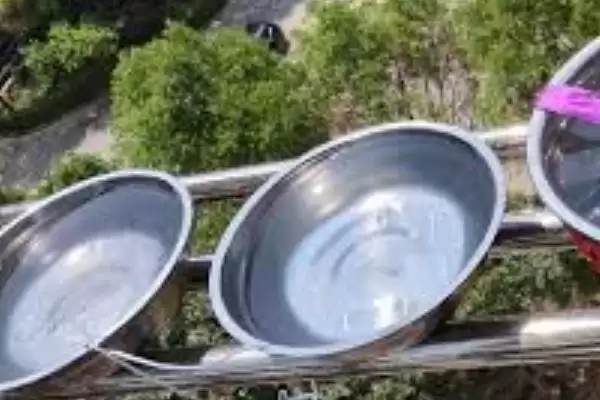 麝香龟要加温吗？养殖麝香龟判断是否加温要考虑哪些因素？插图3