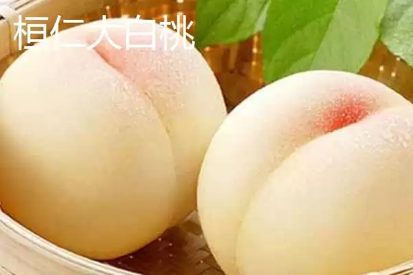 辽宁省桓仁满族自治县的特产 ,桓仁有哪些知名的特产种类呢？插图3