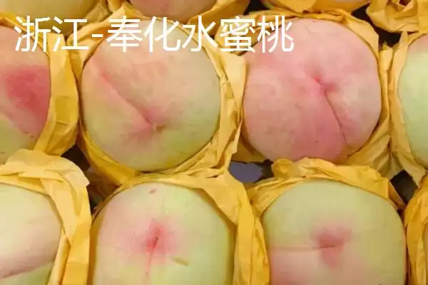 认识中国四大桃乡的方法和重点？认识中国四大桃乡要做好哪些细节？插图2