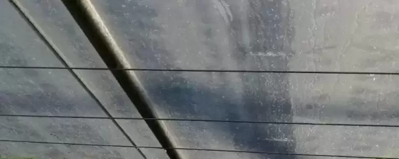 蔬菜大棚上起雾滴怎么办?解决蔬菜大棚起雾滴问题要采取哪些有效措施?插图 蔬菜大棚上起雾滴怎么办?解决蔬菜大棚起雾滴问题要采取哪些有效措施?插图