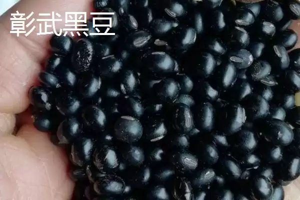 辽宁省桓仁满族自治县的特产 ,桓仁有哪些知名的特产种类呢？插图11