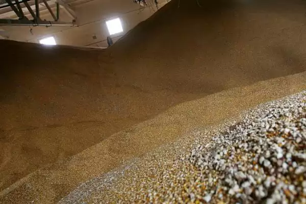 贮藏粮食的注意事项和重点？贮藏粮食要留意哪些关键问题？插图1