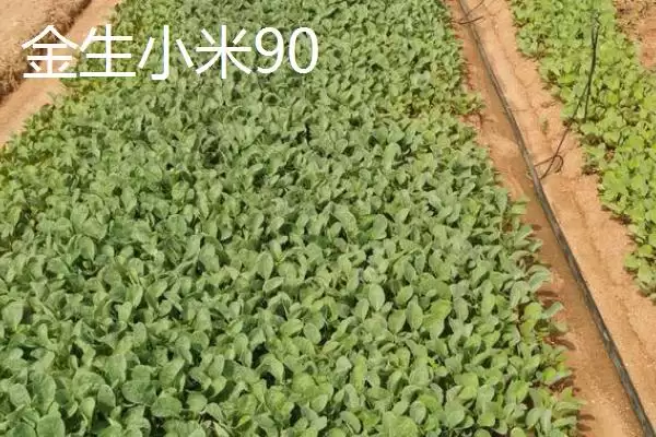 5元左右的价格成因插图7 5元左右的价格成因插图7