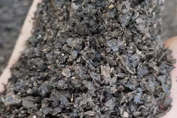 栽种多肉植物的方法和重点？栽种多肉植物要做好哪些细节？插图6