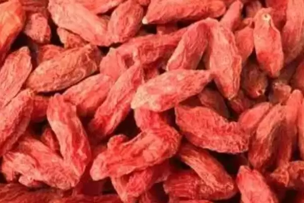 受潮的枸杞还能不能吃?判断受潮枸杞能否食用要考虑哪些品质和安全因素?插图1 受潮的枸杞还能不能吃?判断受潮枸杞能否食用要考虑哪些品质和安全因素?插图1