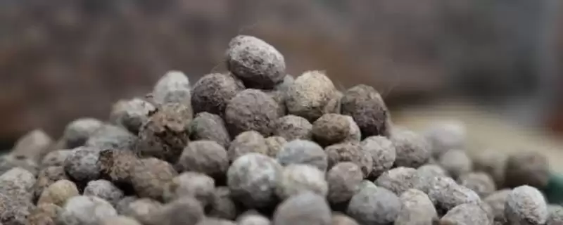 兔粪发酵几天腐熟？确定兔粪发酵腐熟时间要考虑哪些发酵条件和微生物因素？-会东网