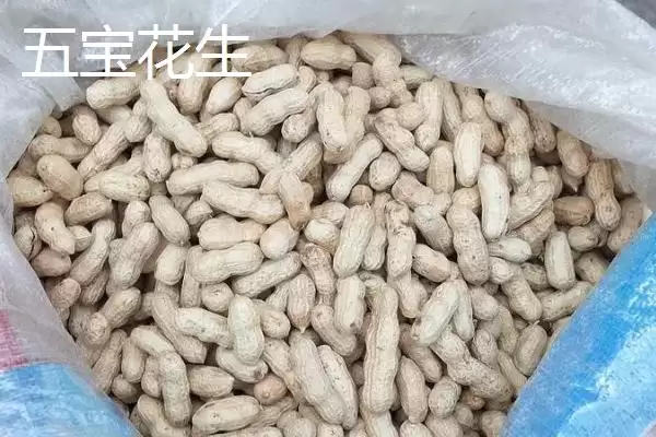 四川省自贡市的特产？了解四川省自贡市特产要掌握哪些具有代表性的物产？插图5