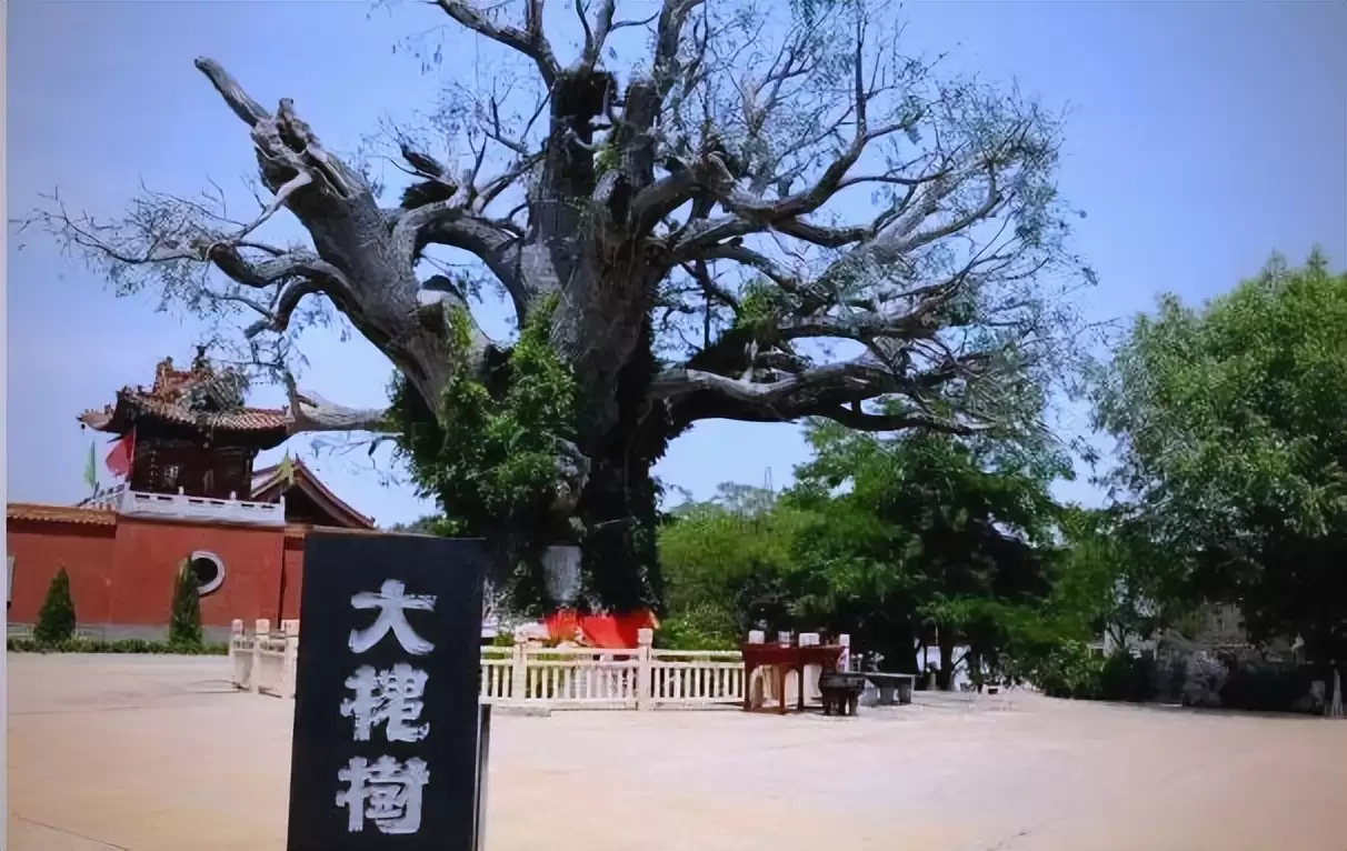 600 年前那场大迁徙，2 亿人至今不知自己身世！插图6