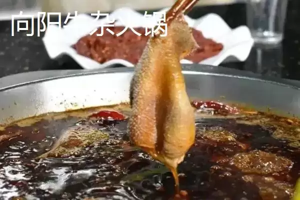 四川省自贡市的特产？了解四川省自贡市特产要掌握哪些具有代表性的物产？插图14