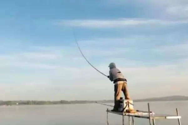 如何在浅水中钓鱼？浅水钓鱼方法与养鱼重点细节？插图3