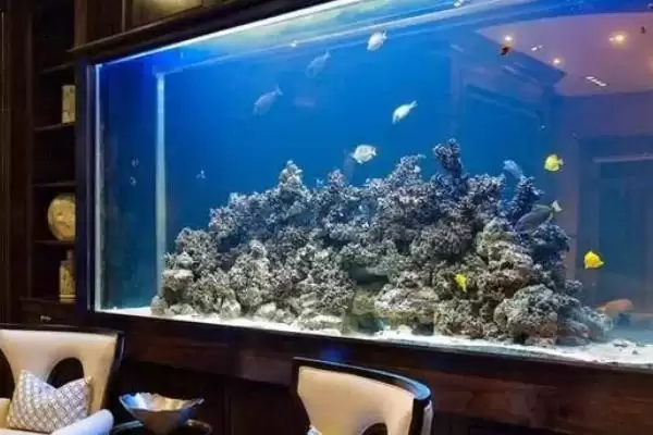 新手如何选合适鱼缸？鱼缸挑选技巧与养鱼重点方法？插图1