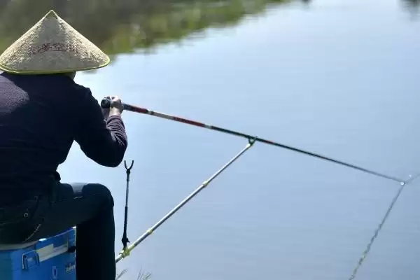 早春雨天适合钓鱼吗？早春雨天钓鱼分析与养鱼要点？插图2