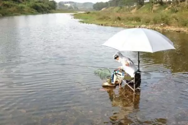 如何在浅水中钓鱼？浅水钓鱼方法与养鱼重点细节？插图2