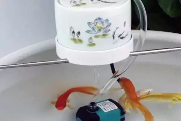 如何确定鱼缸防虹吸孔位置？鱼缸防虹吸孔知识与养鱼重点细节？插图2