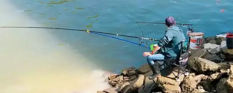 如何在浅水中钓鱼？浅水钓鱼方法与养鱼重点细节？-会东网