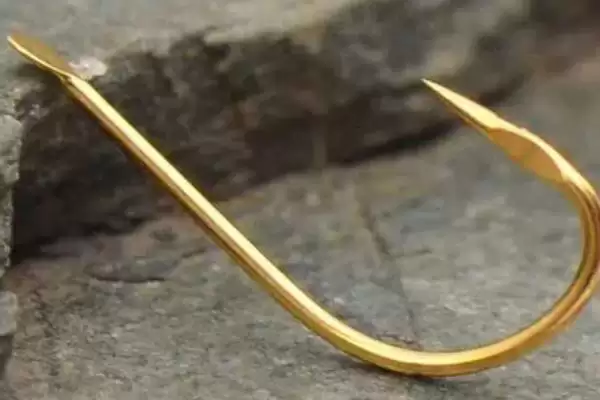 溪流钩适合钓什么鱼？溪流钩适用鱼情与养鱼关键细节？插图3