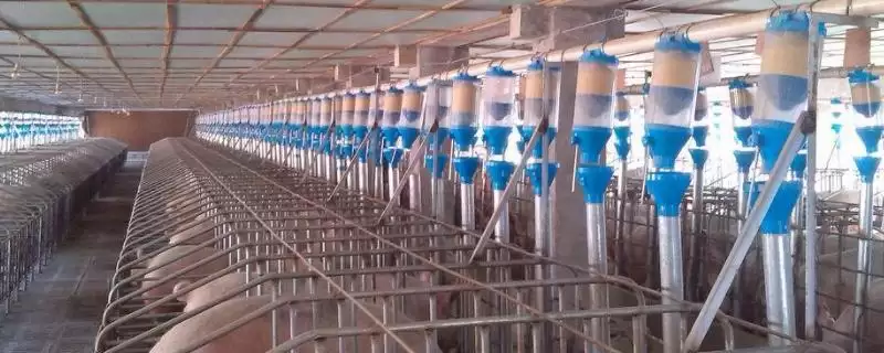 认识养殖场机械化设备分类的方法和重点？认识养殖场机械化设备分类要做好哪些细节？-会东网