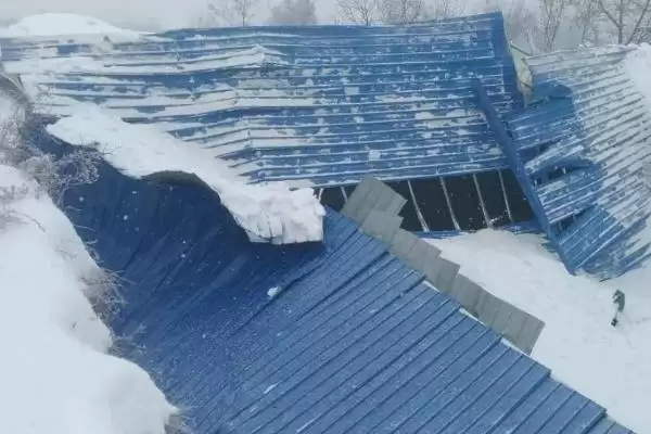 养殖遇到雪灾咋处理？雪灾应对与养鱼方法关键细节？插图1
