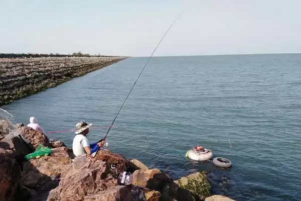什么是浮游矶钓？浮游矶钓知识科普与养鱼重点细节？插图2