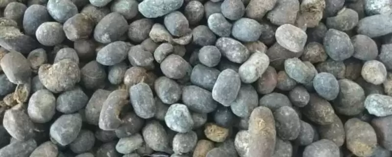 了解羊粪放塑料袋发酵时间的方法和重点？了解羊粪放塑料袋发酵时间要做好哪些细节？-会东网