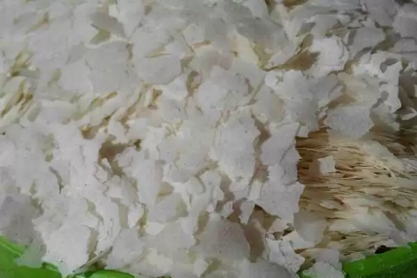 雪花粉在钓鱼中有啥作用？饵料知识与养鱼方法要点？插图1