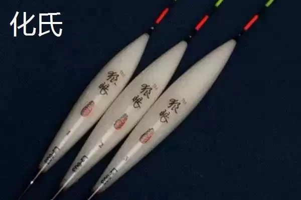 什么是冷光尾夜光漂？冷光尾夜光漂知识科普与养鱼方法要点？插图7
