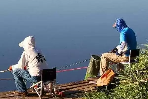 夏天钓鲫鱼技巧有哪些？夏季钓鲫技巧与养鱼重点方法讲解？插图2