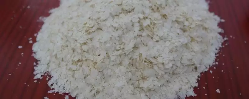 雪花粉在钓鱼中有啥作用？饵料知识与养鱼方法要点？-会东网