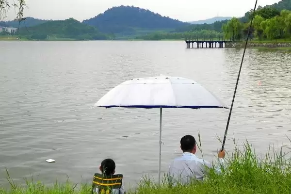 早春雨天适合钓鱼吗？早春雨天钓鱼分析与养鱼要点？插图3