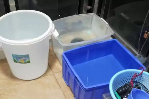 太阳能的水凉了能养鱼吗？太阳能水养鱼可行性与养鱼关键细节？插图3