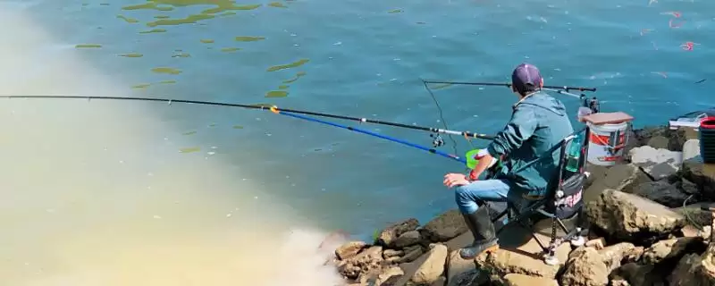 早春钓鲫鱼钓远还是钓近？早春钓鲫鱼技巧与养鱼重点？-会东网
