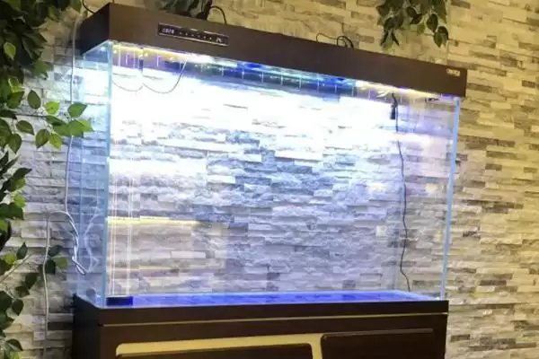 新手如何选合适鱼缸？鱼缸挑选技巧与养鱼重点方法？插图3