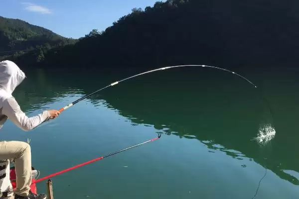 如何在冬季钓获大鲤鱼？冬季钓鲤鱼方法与养鱼要点？插图4