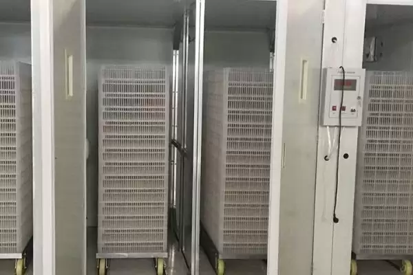 认识养殖场机械化设备分类的方法和重点？认识养殖场机械化设备分类要做好哪些细节？插图1