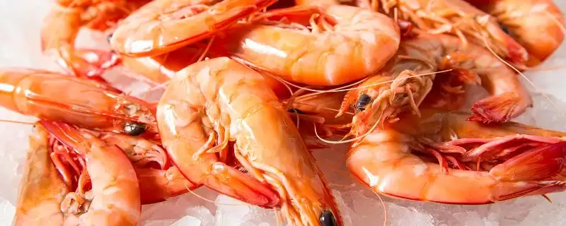 熟虾冷冻十天还能吃吗?判断冷冻十天熟虾能否食用要考虑哪些安全要点?插图 熟虾冷冻十天还能吃吗?判断冷冻十天熟虾能否食用要考虑哪些安全要点?插图