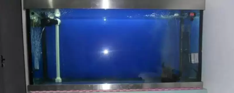 如何确定鱼缸防虹吸孔位置？鱼缸防虹吸孔知识与养鱼重点细节？-会东网