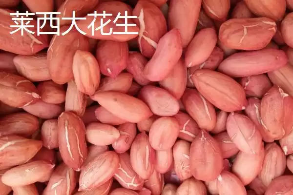 山东莱西的特产有哪些？特产知识与养鱼方法要点？插图1