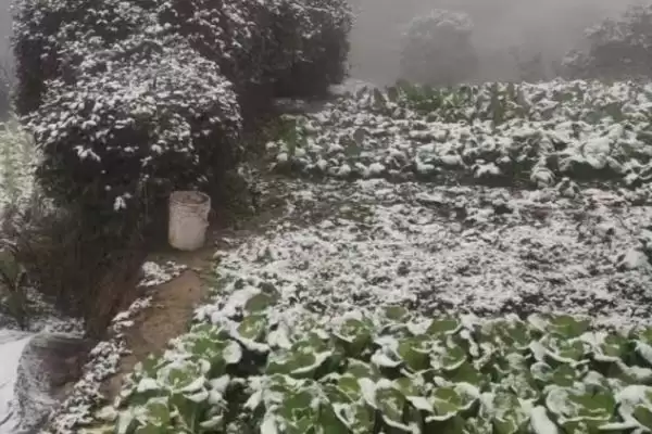 养殖遇到雪灾咋处理？雪灾应对与养鱼方法关键细节？插图2