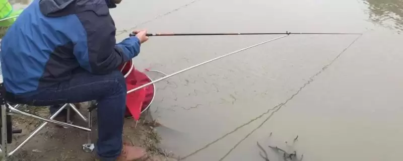 鱼竿19调和28调对比有啥不同?鱼竿调性对比与养鱼关键细节?-会东网